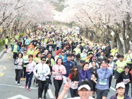 경주시, 4년 만에 새봄, 새로운 시작...‘2023 경주 벚꽃마라톤대회’ 4월 1일 개최  기사 이미지