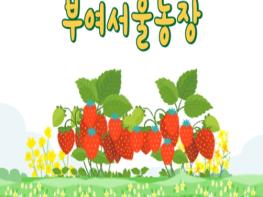 서울시, '딸기도 수확하고 지역 농촌문화도 경험해요!' 기사 이미지