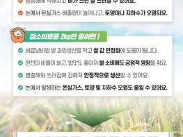 인천시, 고품질 쌀 생산을 위한 질소비료 적정 시비 캠페인 돌입 기사 이미지
